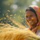 Kisan Credit Card